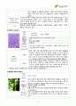 서경대학교 아로마테라피(Aromatherapy) 과제 PASS 14페이지