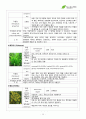 서경대학교 아로마테라피(Aromatherapy) 과제 PASS 15페이지