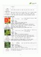 서경대학교 아로마테라피(Aromatherapy) 과제 PASS 16페이지