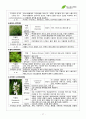 서경대학교 아로마테라피(Aromatherapy) 과제 PASS 17페이지