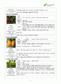 서경대학교 아로마테라피(Aromatherapy) 과제 PASS 18페이지