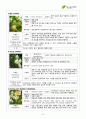 서경대학교 아로마테라피(Aromatherapy) 과제 PASS 19페이지