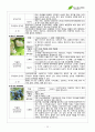 서경대학교 아로마테라피(Aromatherapy) 과제 PASS 20페이지