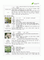 서경대학교 아로마테라피(Aromatherapy) 과제 PASS 21페이지