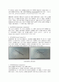 번(Eric Berne)의 교류분석이론의 세 가지 자아에 대하여 설명하고, 부모자녀 의사소통에 시사 하는 점을 기술하시오 (교류분석이론의 세 가지 자아, 세 자아의 소통방식 및 적용) 3페이지
