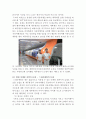 제주항공의 현 문제점분석과 제주항공 현재 마케팅전략과 제주항공 새로운 전략제안및 나의견해 레포트 14페이지