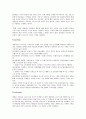 삼성과 애플(Apple)의 경영전략 비교분석 17페이지