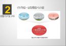 육계(닭고기)의 유통과 계열화 사업.pptx 6페이지