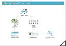 클라우드시스템 Salesforce.com 조사 발표자료 (A+학점) 12페이지