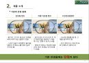 (무역상무론) 자동 초점 안경 EmPower 국내시장진출전략(안경시장) 발표자료 (A+학점) 9페이지
