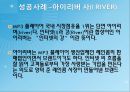인터넷 마케팅의 성공사례와 실패사례 12페이지