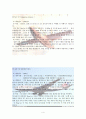 항공기(航空機)의 발달과정 - Flyer-1, Bell X-1(Glamorous Glennis), 보잉 747-400(B747-4B5), F-22 4페이지