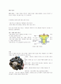 기체구조부의 기능과 동체의 구조 5페이지