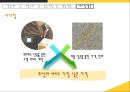 UPS(United Parcel Service)의 글로벌 기업 성장 과정.pptx
 18페이지