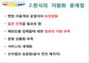 맛있는 음식 수다 - 한식의 세계화 음식문화의 이해.PPT 33페이지