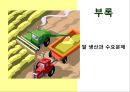 맛있는 음식 수다 - 한식의 세계화 음식문화의 이해.PPT 38페이지