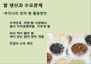 맛있는 음식 수다 - 한식의 세계화 음식문화의 이해.PPT 41페이지