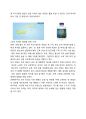 피지워터 기업분석과 피지워터 문제점및 해결방안제시 레포트 4페이지