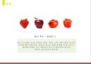 레인보우 다이어트(Rainbow Diet) (레인보우 다이어트 정의, 효과, 방법, 컬러푸드, 무지개 다이어트, 컬러푸드 다이어트).pptx 5페이지
