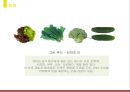 레인보우 다이어트(Rainbow Diet) (레인보우 다이어트 정의, 효과, 방법, 컬러푸드, 무지개 다이어트, 컬러푸드 다이어트).pptx 7페이지