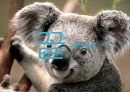 복합 진자 실험 결과 및 세미나 자료 (Driven Damped Harmonic Oscillations).pptx 11페이지