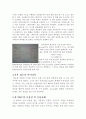 정전압 전원 및 프리앰프 회로 프로젝트 [전자공학실험 프로젝트] 3페이지