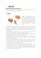 뇌출혈 ICH(Intracerebral hemorrhage) 케이스 스터디 Case Study 3페이지