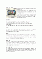 자이로 계기 5페이지
