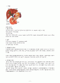 CBD Ca, ampullary ca, ERCP , ,  담도암(담관암) CBD cancer 케이스 스터디 2페이지