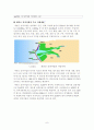 새만금 간척사업의 타당성  8페이지