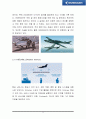 [국제경영] 브라질 엠브라에르(EMBRAER) 기업 조사 10페이지