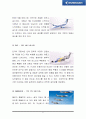 [국제경영] 브라질 엠브라에르(EMBRAER) 기업 조사 22페이지