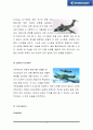 [국제경영] 브라질 엠브라에르(EMBRAER) 기업 조사 25페이지