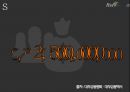 [마케팅 브랜드 분석] 러시앤캐시 (Rush & Cash).pptx 33페이지