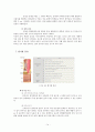 [암간호] 위암 (암의 정의 및 발생률, 위의 위치와 구조, 위암의 정의 및 종류, 위암의 발생빈도, 위험요인, 증상, 병기별 분류, 진단 방법, 치료 방법, 치료의 부작용, 재발 및 전이, 치료 현황, 예방법) 14페이지
