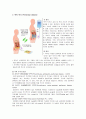 신대체 요법 정리한것입니다. 신대체요법에 대하여 잘 정리 되어있습니다. 4페이지