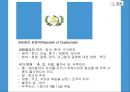 (외교정책) 과테말라 공화국(Republic of Guatemala)에 대하여.pptx 3페이지