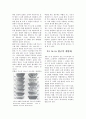 Al-Si 합금 주조 실험(논문형식) SEM 및 EDS 분석 자료 포함 3페이지