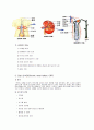 만성신부전 (CRF : Chronic renal failure) 케이스 스터디 - 진단명 : CRF(Cronic renal failure 만성신부전) With ESRD(End stage renal disease)말기신장질환 2페이지