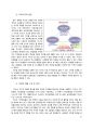 [마케팅 원론] 화장품 제조업 산업군 미샤를 중심으로  13페이지