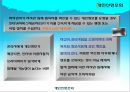 긍정적 시각에서 본 지적재산권  13페이지