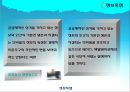 긍정적 시각에서 본 지적재산권  15페이지