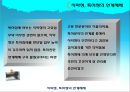 긍정적 시각에서 본 지적재산권  17페이지