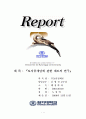 토지공개념에 관한 제도의 연구 (토지공개념의 정의, 관련대표 3법, 토지공개념의 찬반론, 각국의 토지공개념사례, 시장친화적토지공개념) 1페이지