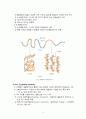 [생화학]아미노산과 단백질 (아미노산의 성질과 정성반응, 펩티드, 단백질의 분류와 정색반응, 단백질의 분리 및 단백질 구조의 상실) 8페이지