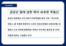 글로벌기업의 정치적위험 피피티 29페이지