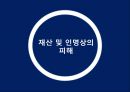 글로벌기업의 정치적위험 피피티 53페이지
