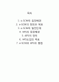 물류관리 과제(e-SCM과 APS에 대해 설명하고,e-SCM과 APS가 어떻게 통합되어야 하는가를 논하라) 2페이지