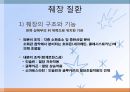 간, 담낭 및 췌장 질환(임상영양학, 간질환, 담도계질환, 췌장질환) PPT, 파워포인트 36페이지