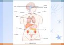 내분비 및 선천성 대사장애 질환(임상영양학, 내분비질환, 선천성대사장애) PPT, 파워포인트 3페이지